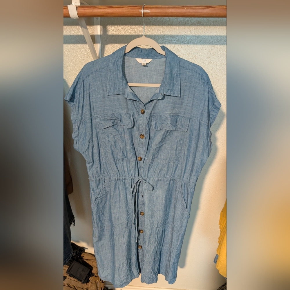 Time and Tru Blue Buttoned Dolman Sleeve Dress